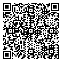 扫一扫，预览手机版